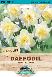 Daffodil 'White Lion'